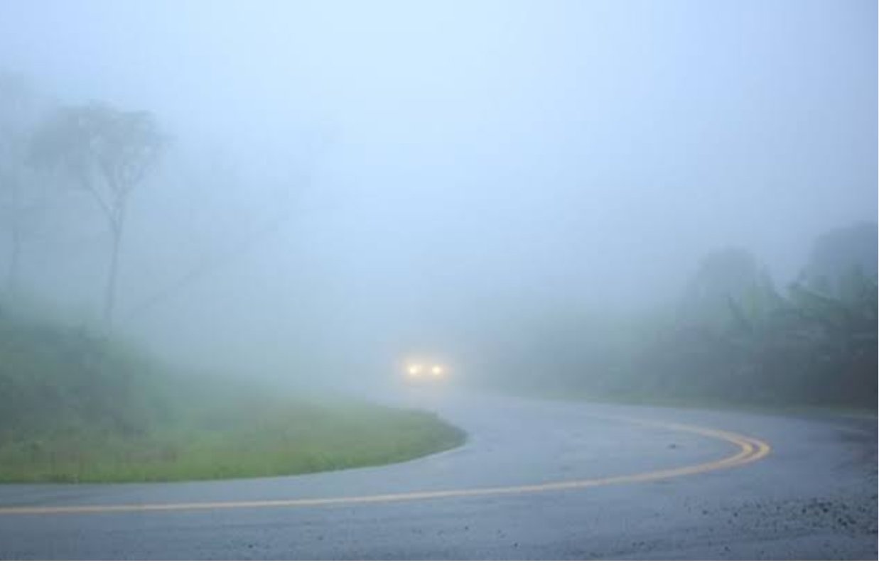 फलदार पौधों को कोहरे से बचाने के लिए उप निदेशक ने बागवानों को दी सलाह